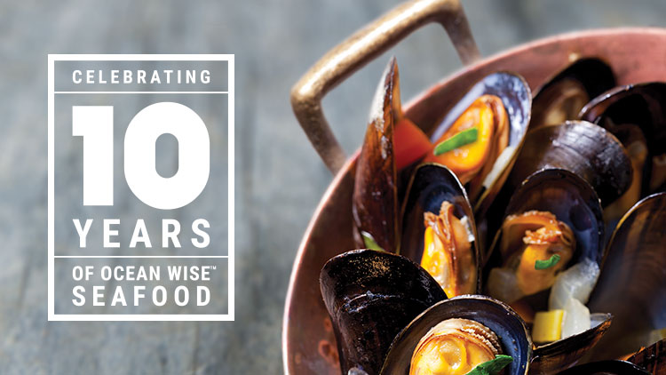 Ocean Wise 10 Years