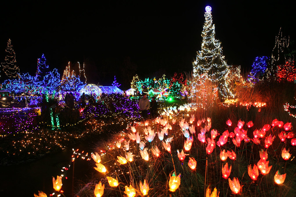 Christmas LIghts in Vancouver